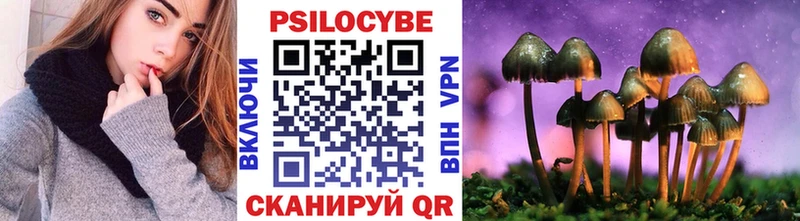 Галлюциногенные грибы Psilocybine cubensis  Купить  Арск 